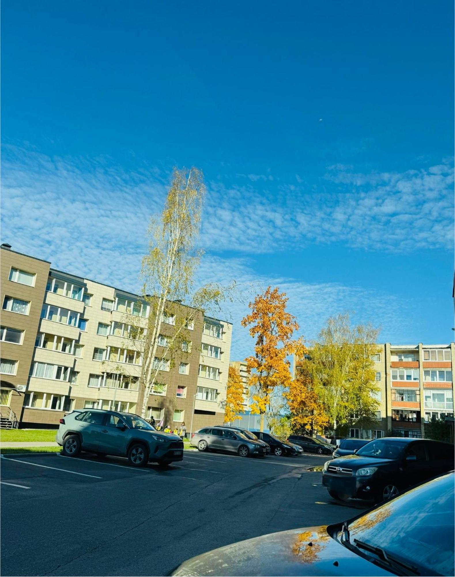 Taikos Apartamentas *
